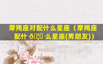 摩羯座对配什么星座（摩羯座配什 🦆 么星座(男朋友)）
